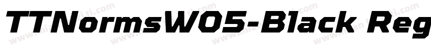 TTNormsW05-Black Reg字体转换